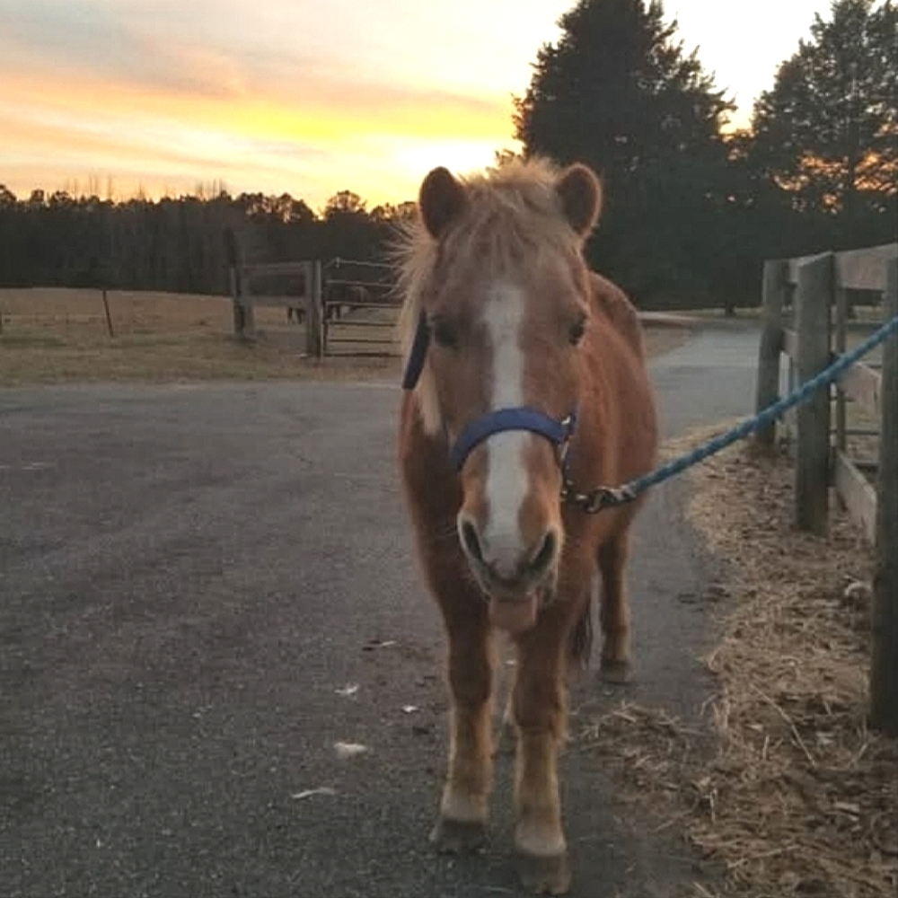 Thread of Hope ✨ Poshmark Top Seller! ✨ - Picture 4 of 7